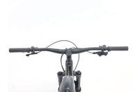 GIANT Trance X 29 3 2021 T.M