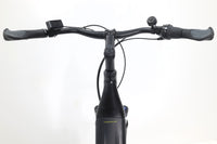 GIANT DailyTour E+ 2 RT LDS D 2022 T.M