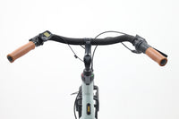 GAZELLE BLOOM C7 2022 T.53