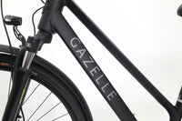GAZELLE Medeo T9 2021 T.L
