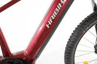 HAIBIKE Alltrack 5 29 2025 T.M