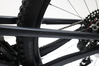 SANTA CRUZ Heckler XX AXS RSV Carbon CC 2024 T.M