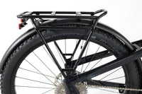 WINORA Yakun 10 2022 T.60