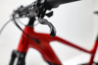 MOUSTACHE Samedi 29 Trail 2 2022 T.L