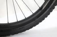 GIANT Trance X E+ 2 Pro 29 2021 T.M
