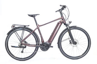GIANT AnyTour E+ 3 GTS 2021 T.M