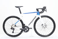 MEGAMO Pulse 05 2026 T.M