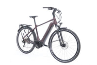 GIANT AnyTour E+ 3 GTS 2021 T.M