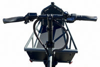 RIESE&MÜLLER Load4 75 Vario 2025 T.U