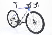 MEGAMO Pulse 05 2026 T.M