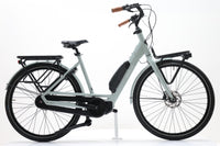 GAZELLE BLOOM C7 2022 T.53