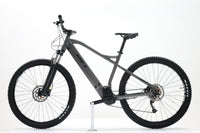 BH Atom 29 2024