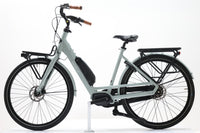 GAZELLE BLOOM C7 2022 T.53