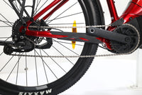 LIV Tempt E+ EX 2022 T.M