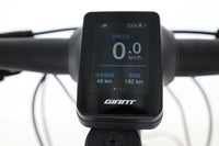 LIV Amiti E+ 1 2021 T.S
