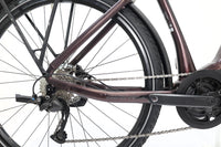 GIANT AnyTour E+ 3 GTS 2021 T.M