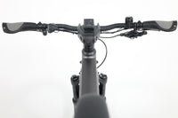 RIESE&MÜLLER Delite GT touring 2022 T.51