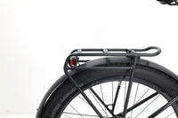 LIV Thrive E+ EX D 2022 T.M