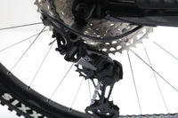 GIANT Trance X E+2 PRO 29 2021 T.L