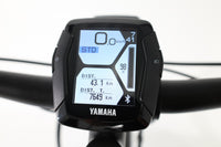 HAIBIKE Trekking 6 2021 T.M
