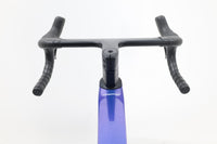 MEGAMO Pulse 05 2026 T.M