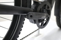 Riese Müller Charger4 GT touring 2024 T.46