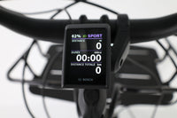 RIESE&MÜLLER Cruiser2 Mixte silent 2023 T.M