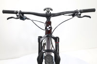 CUBE AMS ONE11 C:68X Pro 29 2024 T.M