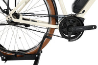 RIESE&MÜLLER Cruiser2 Mixte silent 2023 T.M