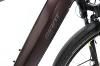 GIANT AnyTour E+ 3 GTS 2021 T.M