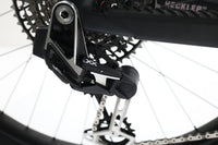 SANTA CRUZ Heckler XX AXS RSV Carbon CC 2024 T.M