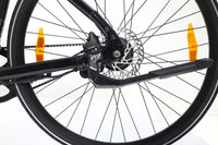 MOMENTUM Voya E+ 2 2024 T.M