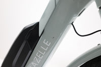 GAZELLE BLOOM C7 2022 T.53