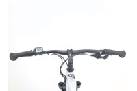 HAIBIKE Sduro HardNine 2.0 2021 T.XL
