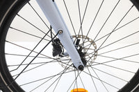 CANNONDALE Adventure Neo 3.1 EQ 2024