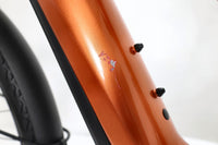 LIV Amiti E+ 2 2023 T.S