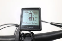 VÉLO DE VILLE AEB 800 2024 T.L