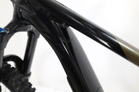 GIANT Reign 2 2024 T.M