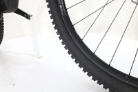 CANYON Strive CFR Underdog 2024 T.M