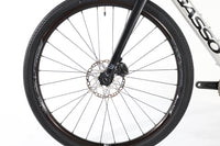 BASSO Tera 2025 T.S