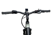 CUBE Trike Family Hybrid 750 2025 T.U