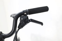 BROMPTON P-Line 2024 T.U