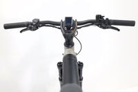 RIESE&MÜLLER Supercharger GT Rohloff 2023 T.56