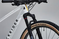 ROCKRIDER Cross Country Race 900 GX Eagle