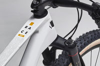 ROCKRIDER Cross Country Race 900 GX Eagle