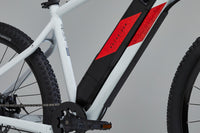 ROCKRIDER E-ST 100