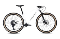 ROCKRIDER Cross Country Race 900 GX Eagle