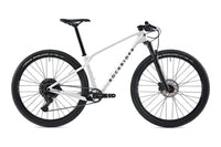 ROCKRIDER Race 900 NX