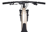 ROCKRIDER E-Explore 520 S Sable
