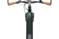 ROCKRIDER E-ACTV 900 Vert bronze